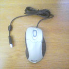 mouse