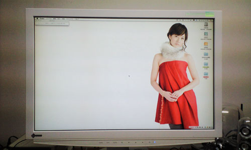BONNIE PINK