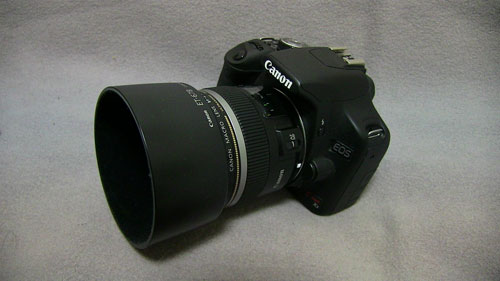 canon EF-S60mm F2.8 マクロ USM