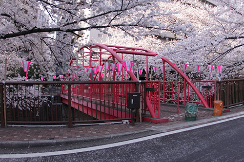 2014年目黒川の桜