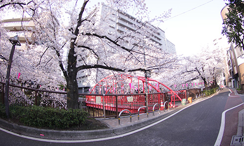 目黒川・中の橋