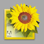 Photoshop Elemetns 2.0 icon